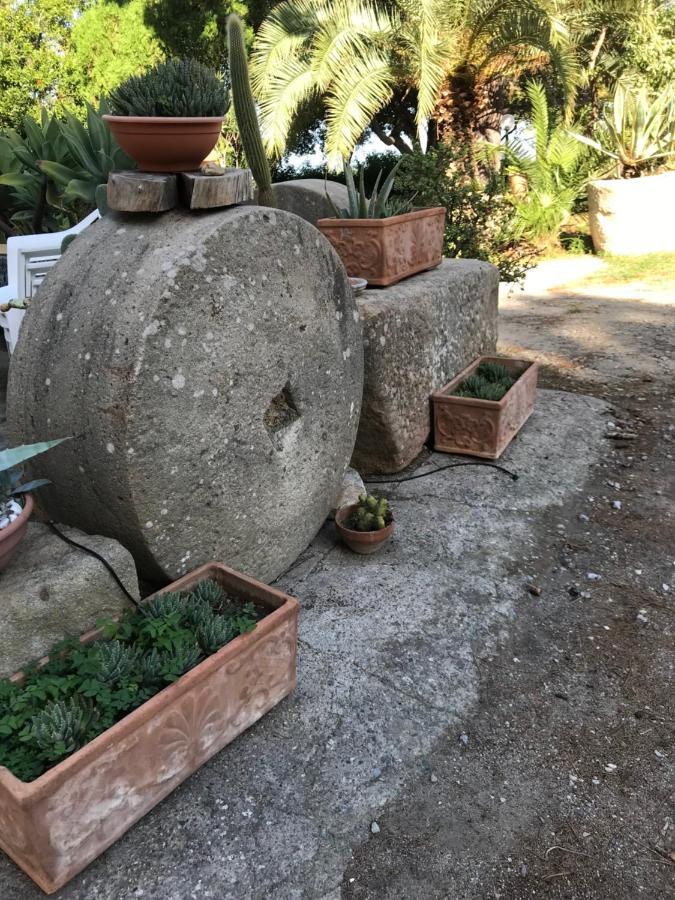 A Casa Di Peppino Villa Greco Tindari Exterior foto